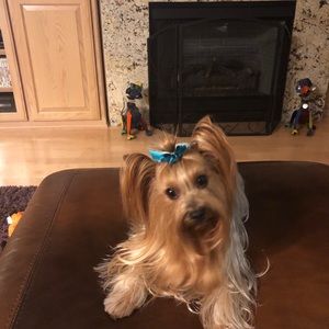 Meet your Posher, Lisa